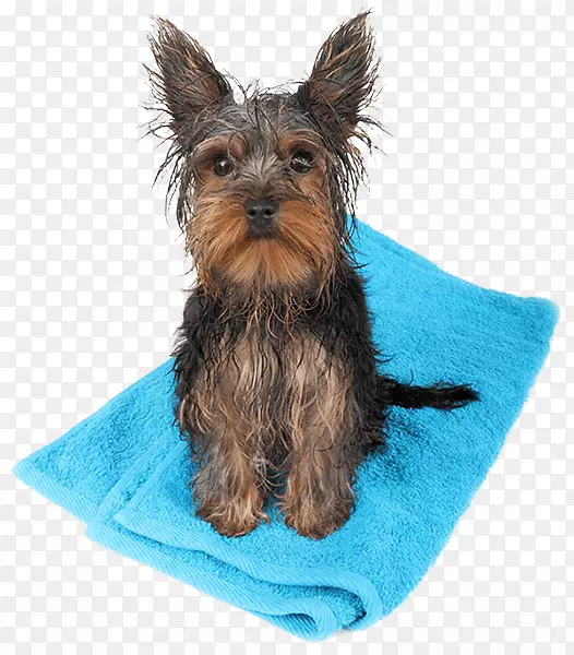 ��Ӱ��˰-��ѹ�-������