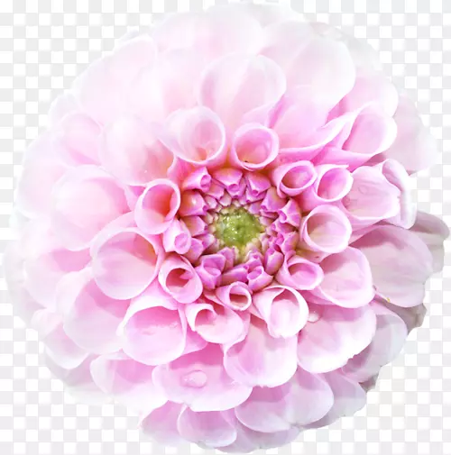 �л������-������