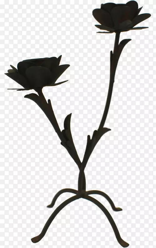 ֦��ֲ�ﾥҶ���꿪��ֲ��-Ҷ-������