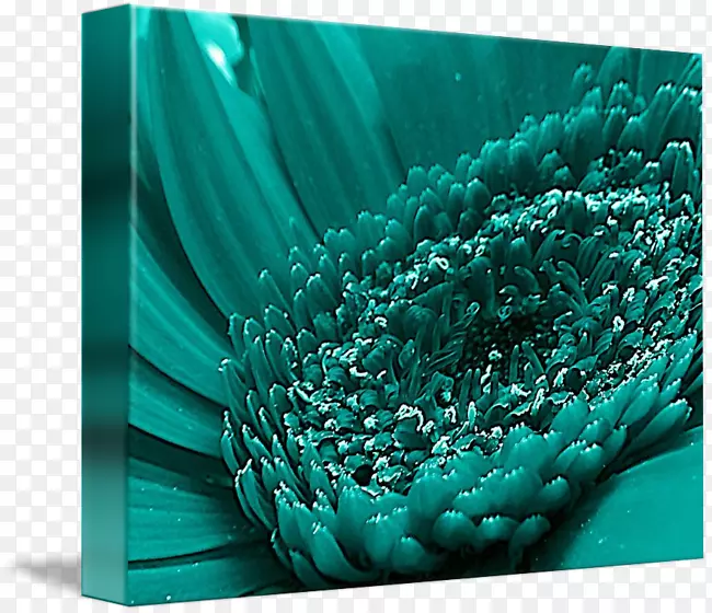 ˮƿ��ɫ��ɫ����ɫ-������