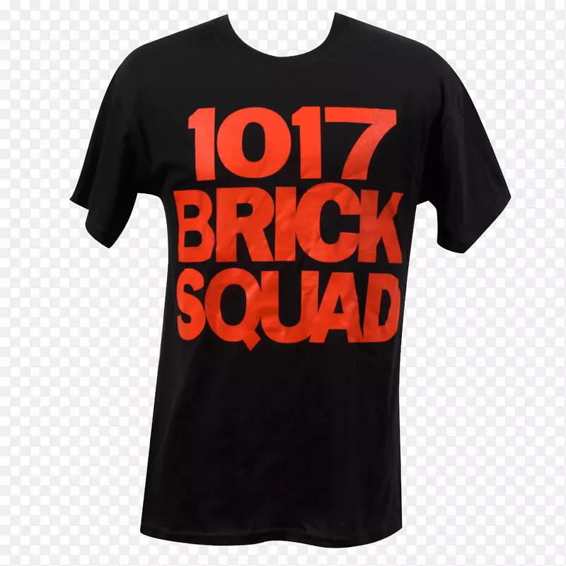 t��ñ����Ͳ1017��¼.����-������