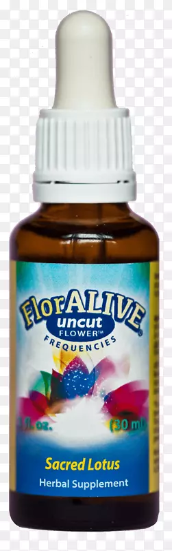 �β�ҩ�ͺջ�������-Ŷ����������ϷYugi Mutou-��ʥ����-������