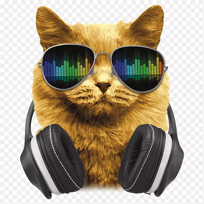 ���Ĵ�è������ũ����-dj����-������