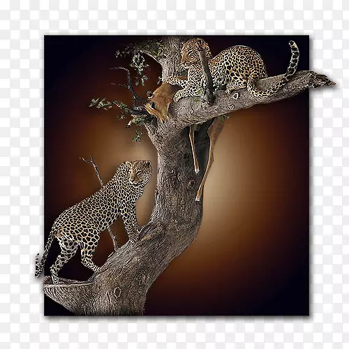 ��½������Ұ��������������-������