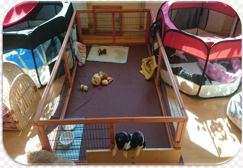 /m/083vt����ľ�Ĺȸ�Play-wood-������