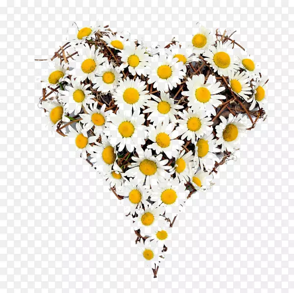 ���˽���Ӱ�廨����-���˽�-������