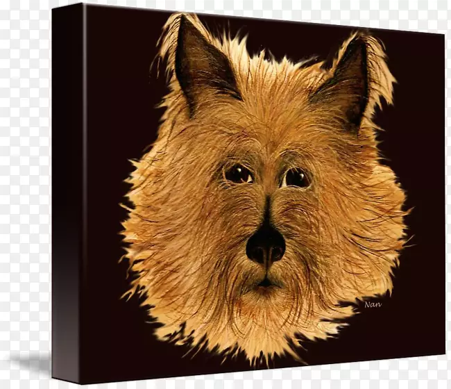 �Ĵ�������Ȯ��������Ȯ����������Ȯ��Ȯ��-�Ĵ�����-������