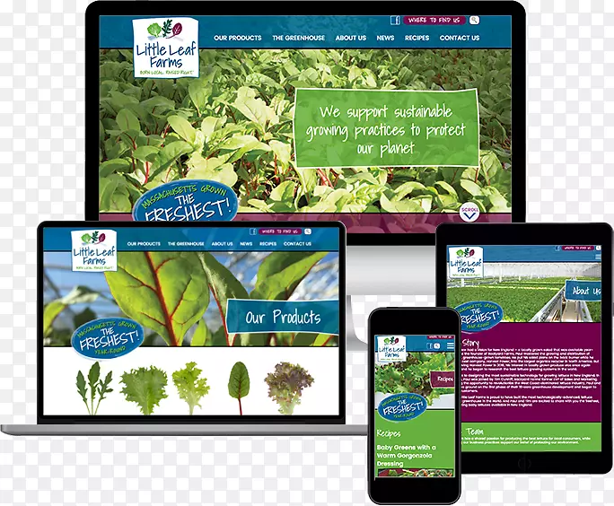 չʾ���Ʒ����̬��ý�弼��-������