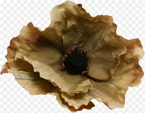 ����ѹ����Ӱ������-��-������