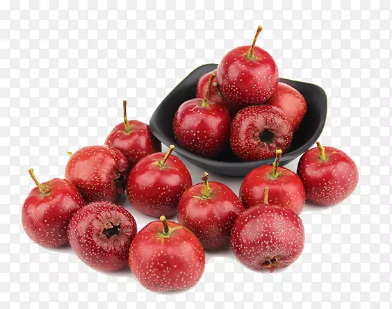 ɽ髾�����è��������ʳƷ-������غ�ɽ�-������