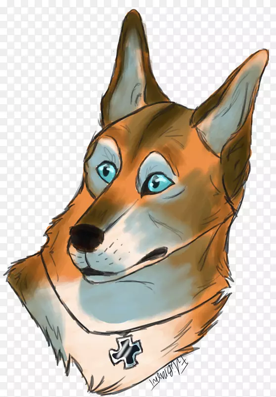 Ȯ�ְ�������Ȯ���צ-������