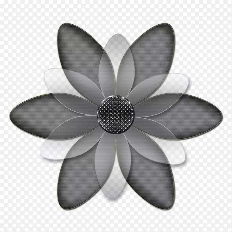 ��ɫ���-������