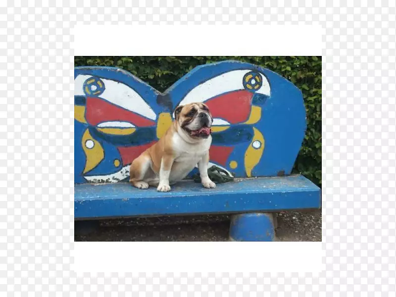 �������ӽ�С��-������