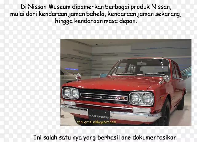 �����������ոܣ�����������-��������-������