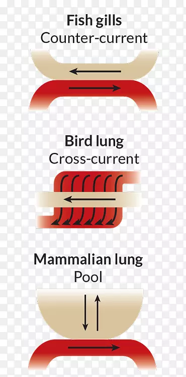 ��Naver���Ϳ��������Ʒ��-ѪҺѭ��-������