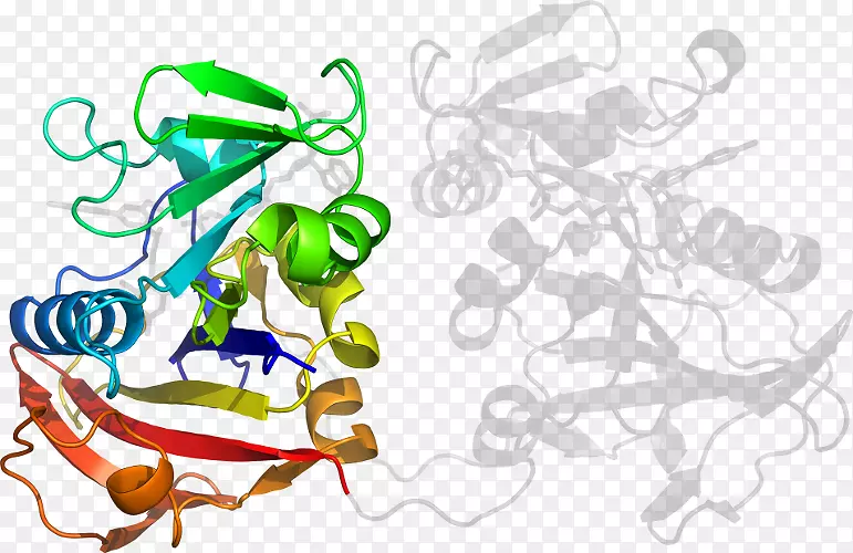 ƽ����Ƽ�����.���-������