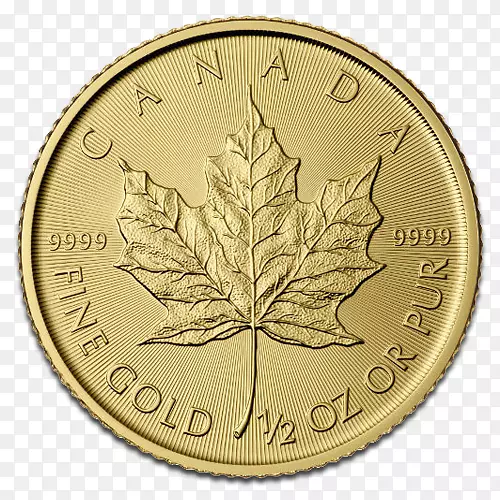 ���ô���Ҷ��һʼҼ��ô����ҽ��-������