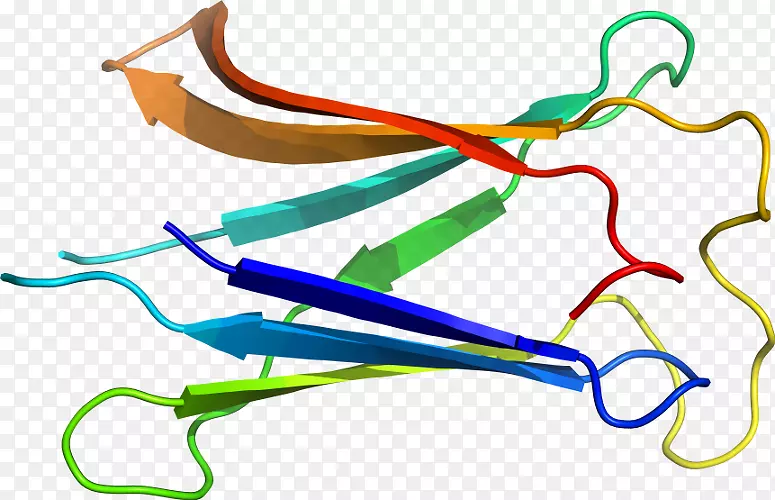 �ߵ������-��-������