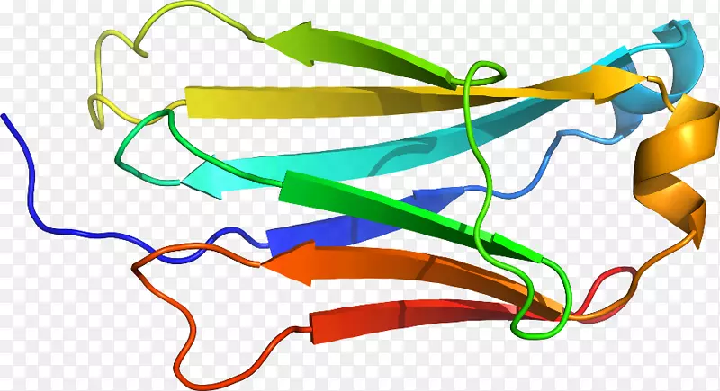 �ߵ������-��-������