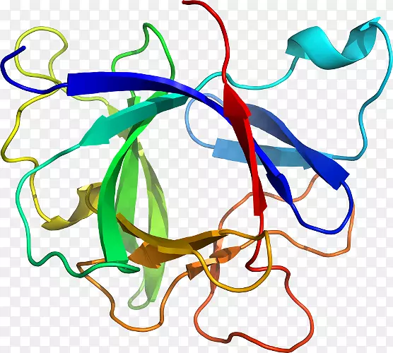 �ߵ������������-������