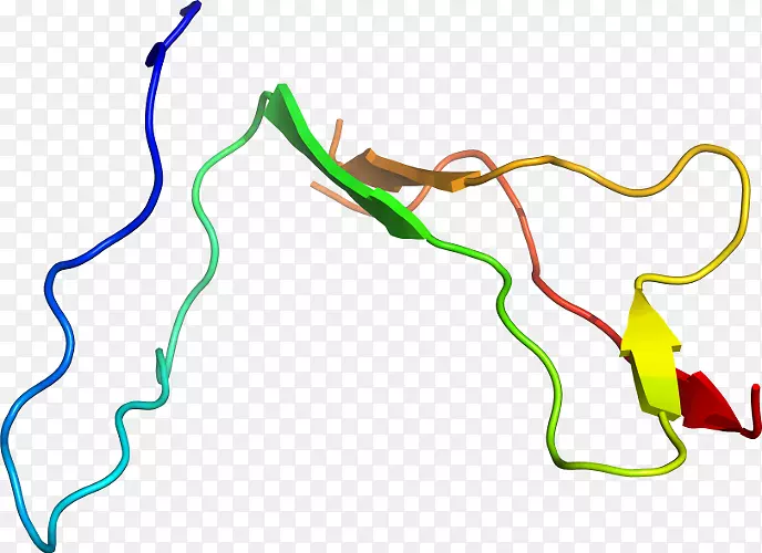 �ߵ������������-������