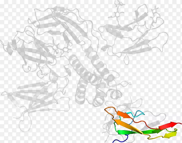 ��ɫ���������-������