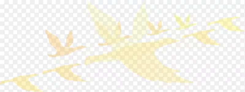 ��ɫͼ��-��Ӱ��-������