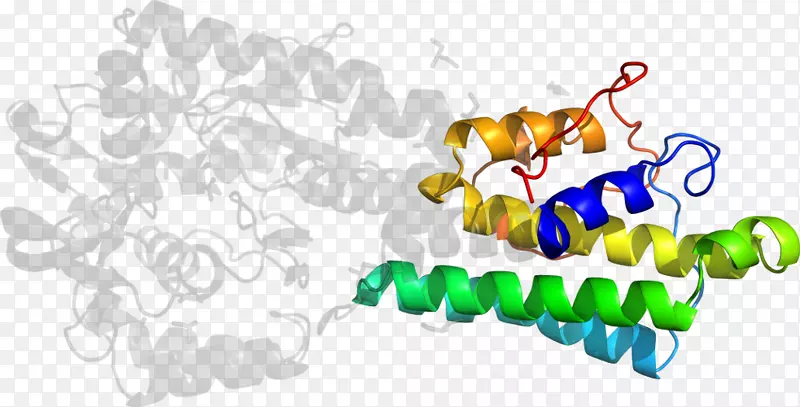 ���������鱦ϵ�м������鱦����-������