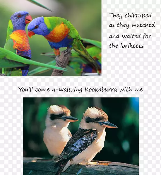 Ц�񣬰����������񣬲ʺ���-������