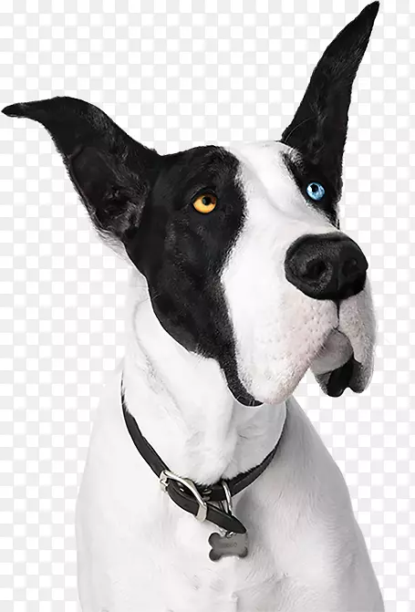 ������Ӣ����Ȯ��ѹ�ذ幷Ʒ��Ӳľ�ذ�-������