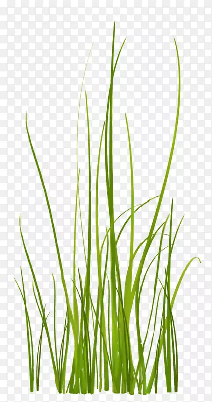 ��-������