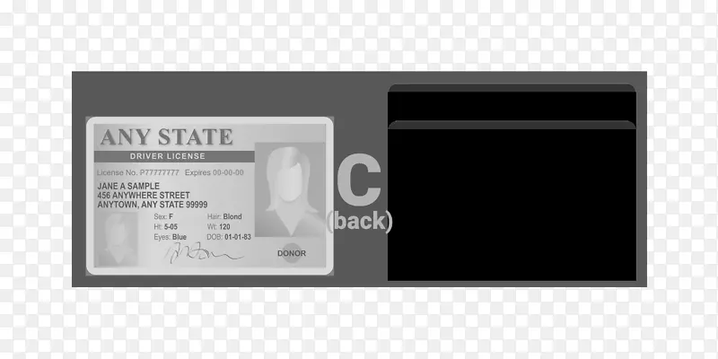 Ǯ����Ƭ������Ƶʶ���������е�Ǯ��-������