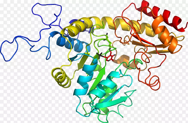 �ߵ������������-������