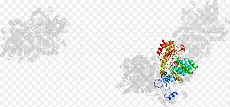 �鱦����ϵ�д���-�鱦����-������