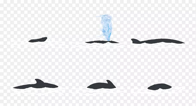 ��ë���plc����-����ͼ��-������