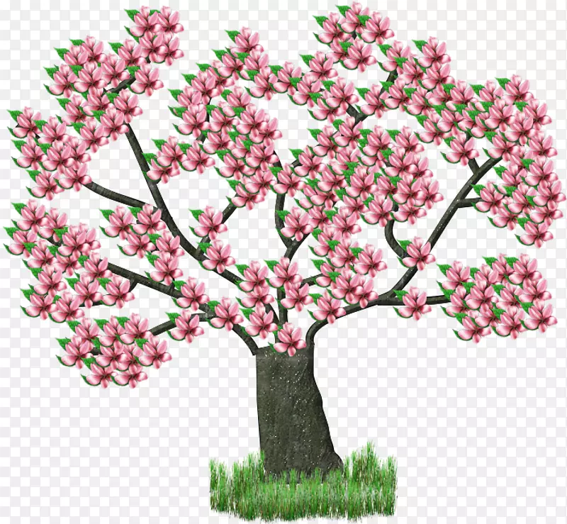 ���Ĳ���Shabbat-arbre-������