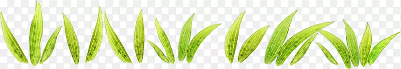 ��ɫ��ƺ��ͼ-���е��̲�-������