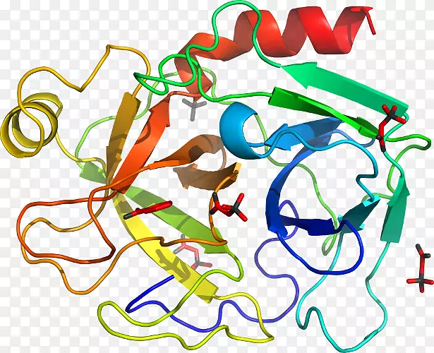 �ߵ������������-������