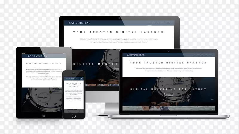 Ʒ�Ƶ��Ӷ�ý�����-������