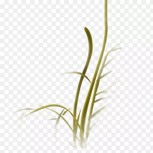 �ػ�����-װ��Ԫ���̲�-������