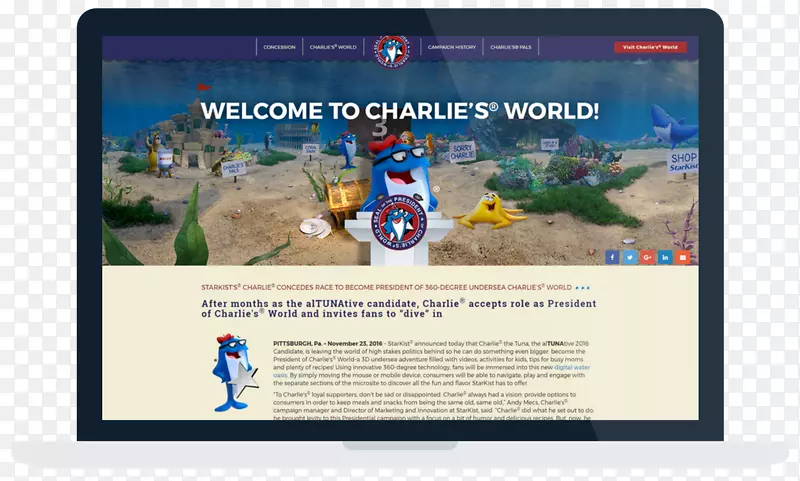 ��ý�弼��չʾ��漼��-������