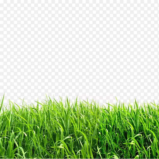 ��ͼ���ļ���ʽ�������̲�-������