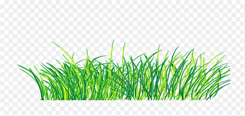 ��ɫ������.�ֻ��̲�װ��ͼ��-������