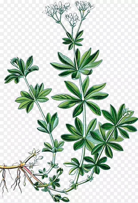 ��ݣ���-������