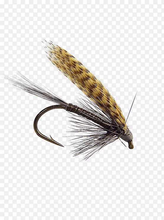 Quill Gordon�˹�ӬӦ������ɵ�������-����-������