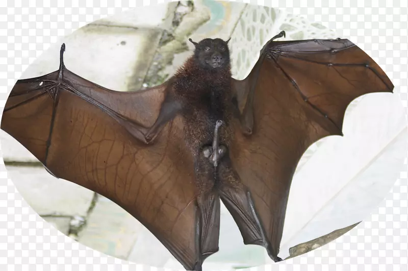 �����-������