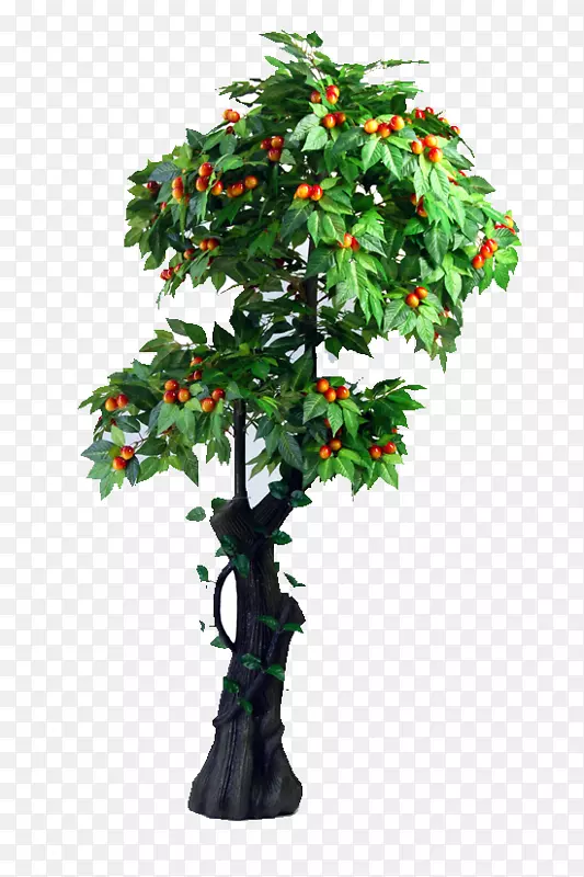 ӣ����֦��ӣ��������Ѹ�١�-������