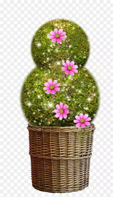 ��������-����-������