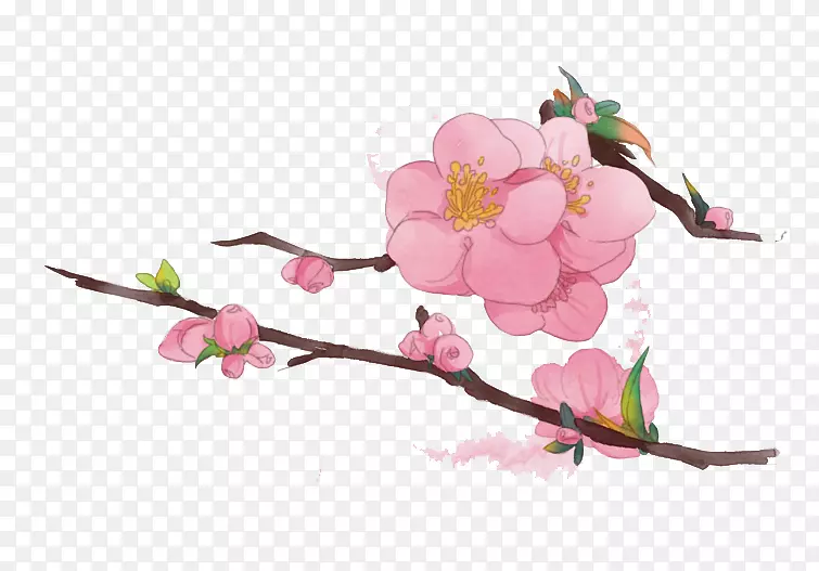 �ﺣ����֦-������