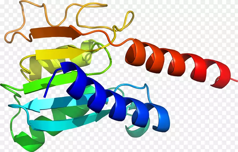 ����Ь�߶������������-������